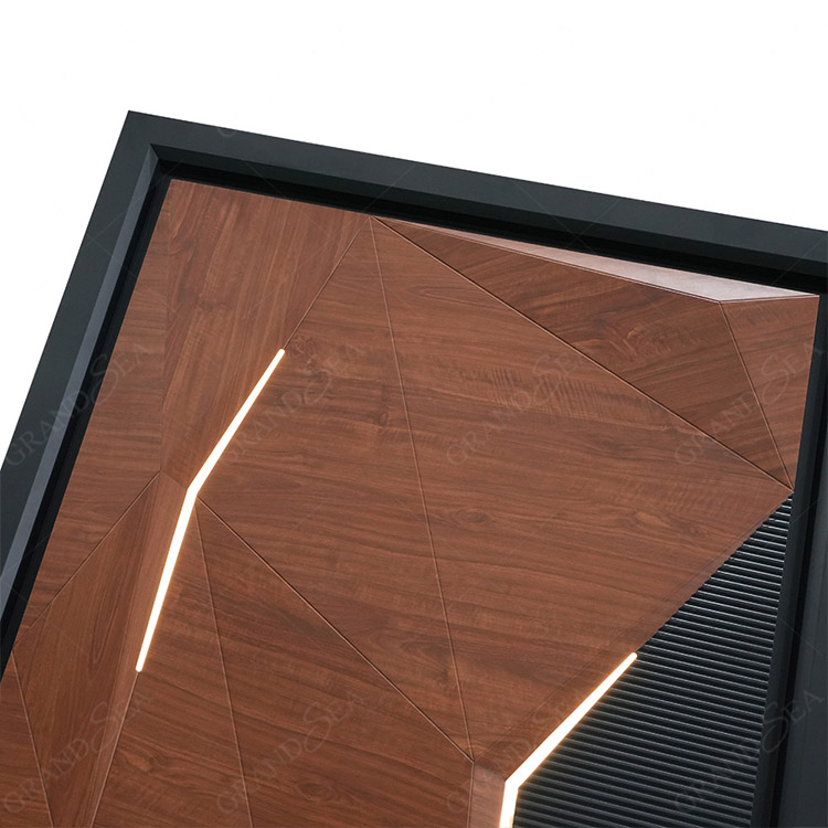 Modern pivot door entry