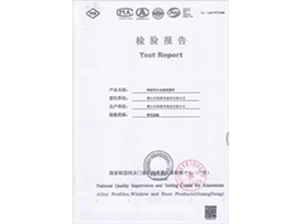 Test Report